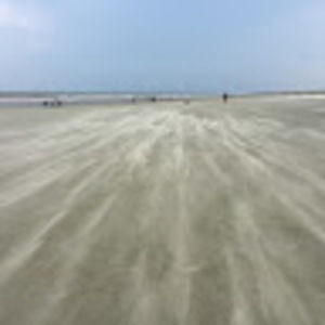 Meet your Posher, George